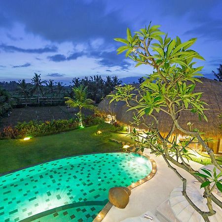 Villa Omah Padi Убуд Экстерьер фото